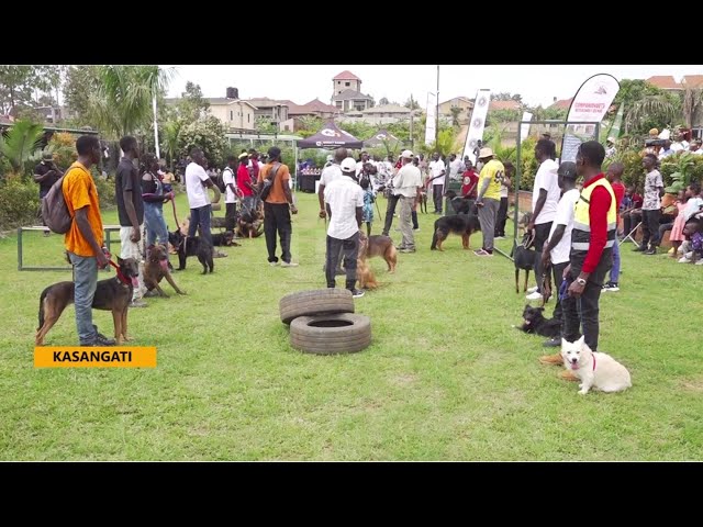 ⁣End-of-year dog competition, Public urged to consider dog keeping for enhanced security