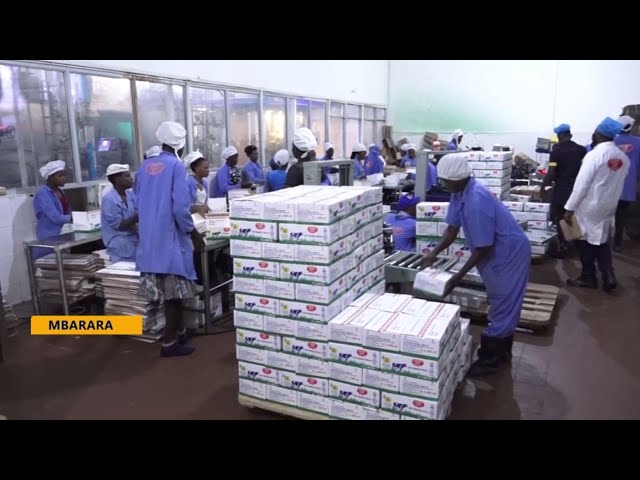 ⁣Dairy woes - Govt unhappy with Kenya over blockage of dairy product exports.