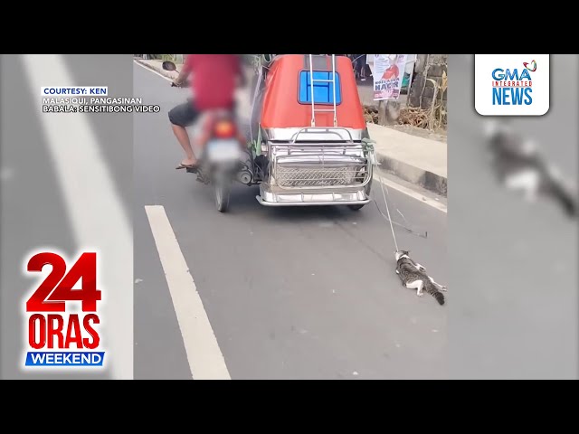 ⁣Pusang nakakaladkad dahil nakatali sa tricycle, nasagip; animal rights advocates...| 24 Oras Weekend