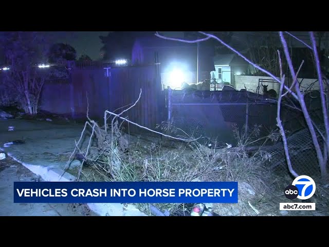 ⁣2-car crash sends vehicle through gate of Long Beach horse property