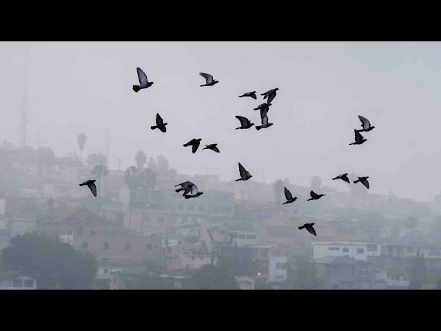 ⁣Frente Frío 21 Provoca Temperaturas Bajo Cero en Zonas Serranas de México