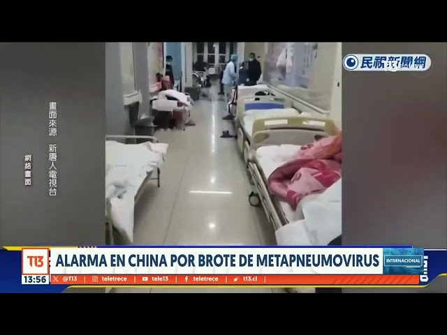 ⁣Alarma en China por brote de metapnemovirus