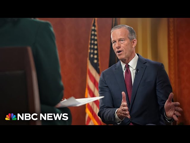 ⁣Relationship with Trump is ‘evolving’ says new Senate Majority Leader Thune: Full interview