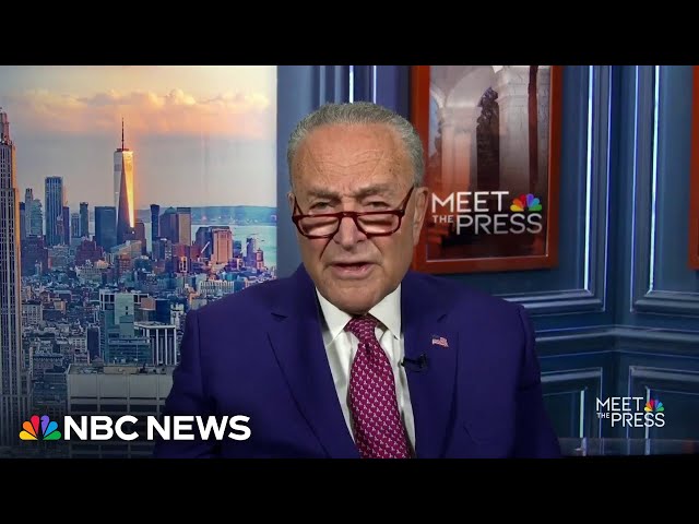 ⁣Schumer says ‘we didn’t’ mislead Americans on Biden’s mental acuity: Full interview