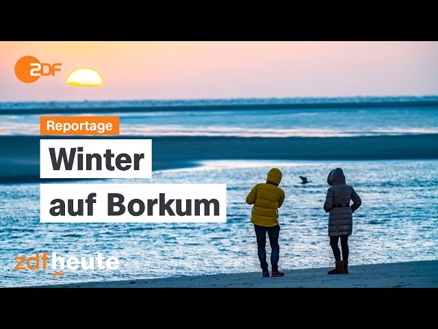 ⁣Nordsee pur: Wenn das echte Leben nach Borkum zurückkehrt | ZDF.reportage