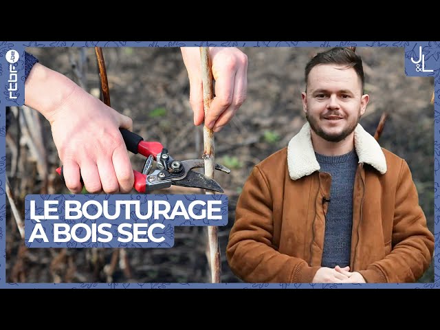 ⁣Le bouturage à bois sec en 3 astuces | Jardins et Loisirs