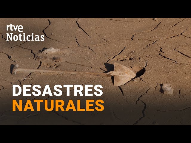 ⁣En 2024 más de la MITAD de la POBLACIÓN MUNDIAL se HA VISTO AFECTADA por el CAMBIO CLIMÁTICO | RTVE