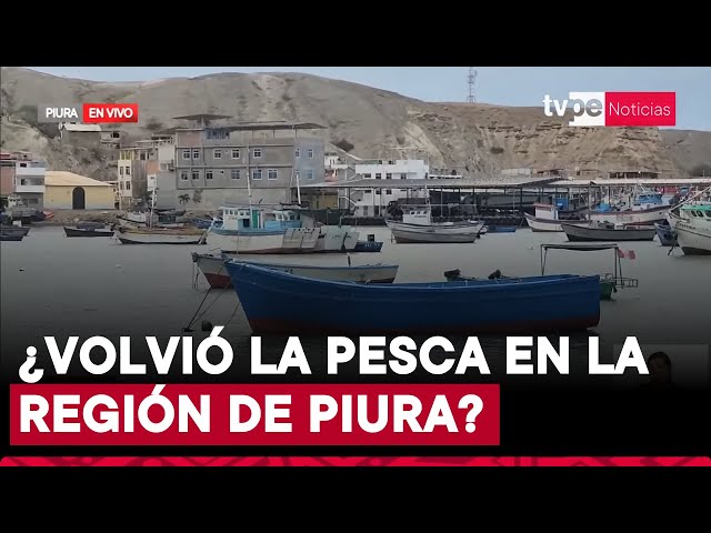 ⁣Esta es la situación de los pescadores en Piura tras fuertes oleajes en el litoral peruano