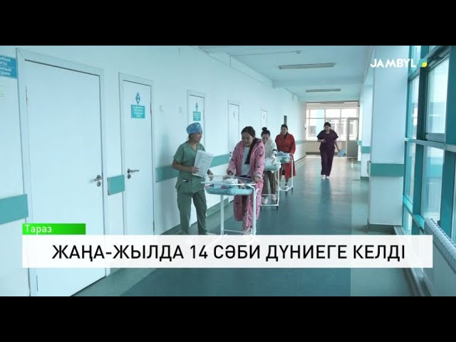 ⁣Жаңа-жылда 14 сәби дүниеге келді