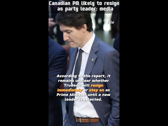 ⁣Canadian PM likely to resign as party leader: media