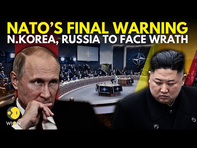 ⁣Russia-Ukraine War: Russia's Larov Warns NATO, US Over Missile Attack Threat | Ukraine Reacts |