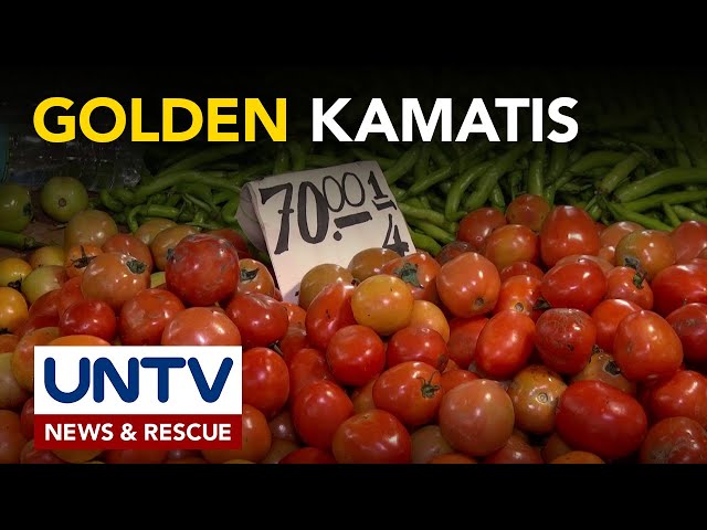 ⁣Presyo ng kamatis, nasa P200-P260 kada kilo; Pagtaas, dahil umano sa mababang supply