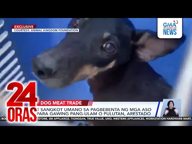 ⁣2 sangkot umano sa pagbebenta ng mga aso para gawing pang-ulam o pulutan, arestado | 24 Oras