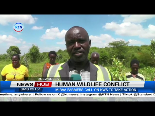 ⁣Farmers decry losses over farm produce due to human wildlife conflict