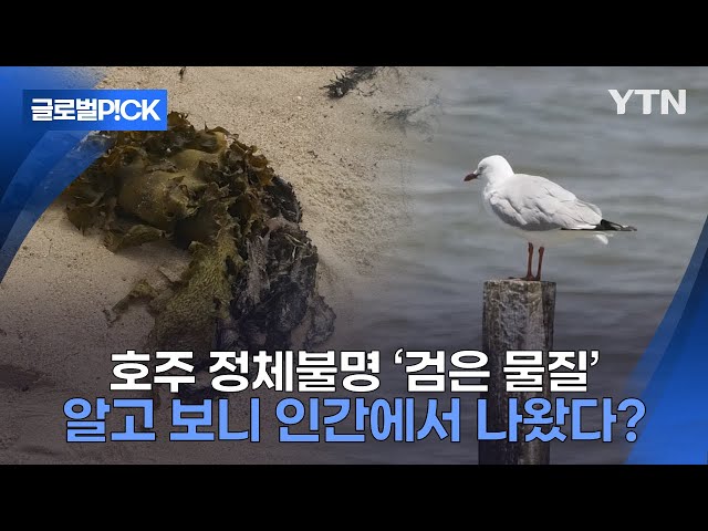 ⁣[반복재생] 유독 물질 가득한 '팻버그' 호주 발견...인간으로부터 나온 오염 물질이었다