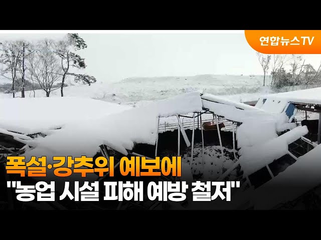 ⁣폭설·강추위 예보에…"농업 시설 피해 예방 철저" / 연합뉴스TV (YonhapnewsTV)