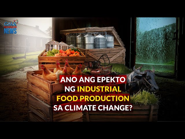 ⁣Ano ang epekto ng industrial food production sa climate change? | Need to Know