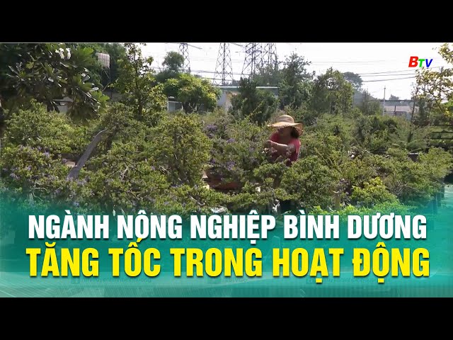 ⁣Ngành nông nghiệp Bình Dương tăng tốc trong hoạt động