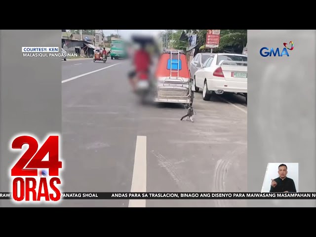 ⁣May-ari ng tricycle na kumaladkad sa pusa, pinapaharap sa LTO main office | 24 Oras