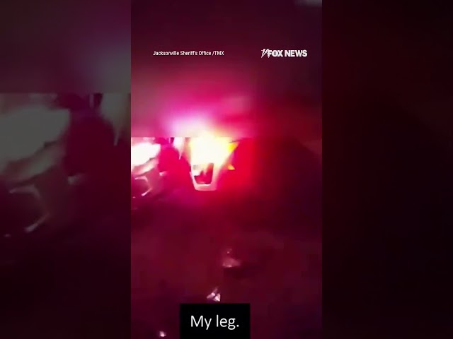 ⁣Suspected drunk driver hits police cruiser causing a chain reaction of dramatic events