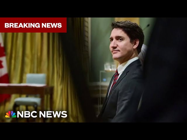 ⁣Why Justin Trudeau is stepping down as Canada’s prime minister