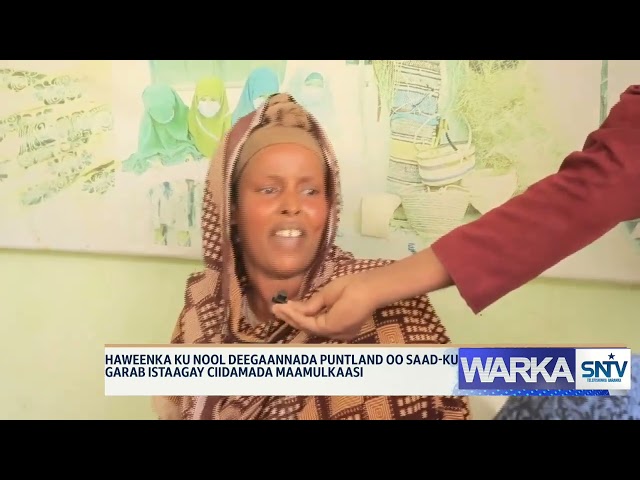 ⁣WARKA HABEEN EE SNTV 06 01 2025