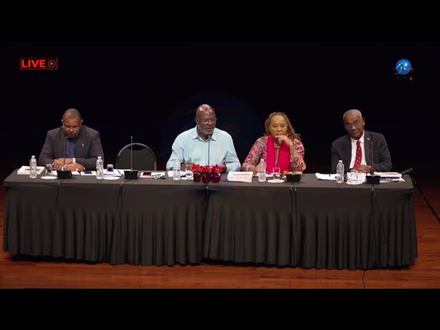 ⁣'Bajans must have a say on new Constitution'