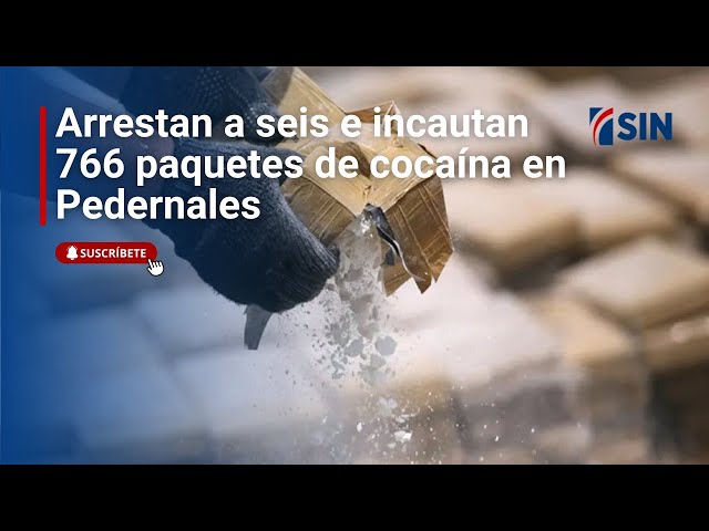 ⁣Incautan 766 paquetes de cocaína | Noticias #PrimeraEmisión 06/01/2024