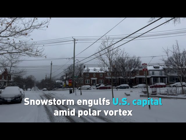 ⁣Snowstorm engulfs U.S. capital amid polar vortex