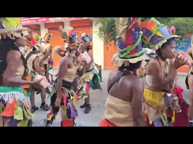 ⁣Parade d'ouverture du carnaval à Basse-Terre