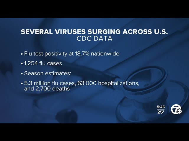 ⁣Viruses rising in US as peak season arrives; here's what to know