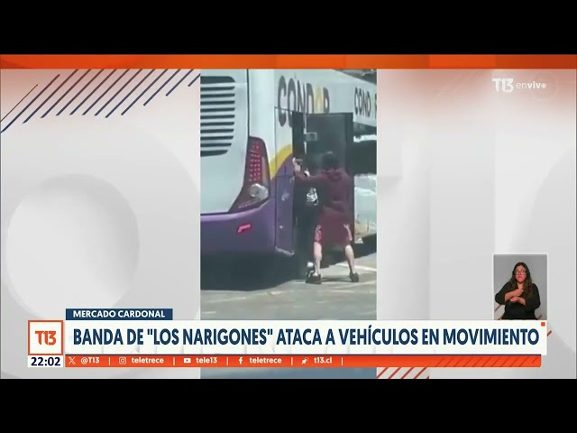 ⁣Así actúa la banda de "Los Narigones" en Valparaíso: Roban a camiones y vehículos en movim