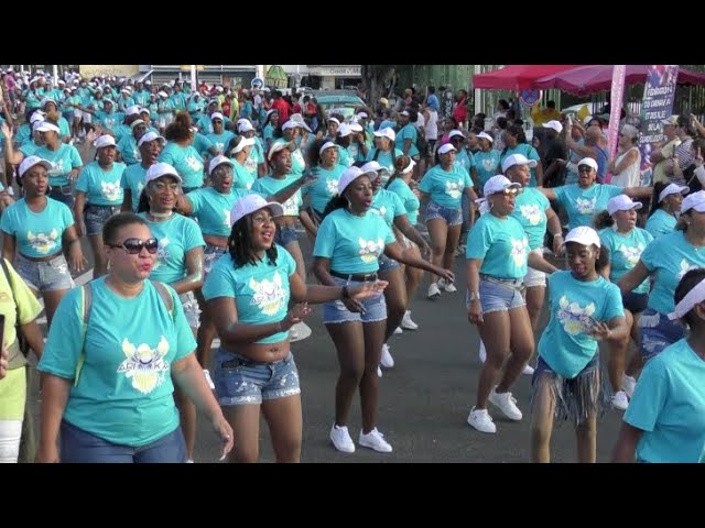 ⁣Basse-Terre :Retour en images sur le carnaval du dimanche 5 janvier.