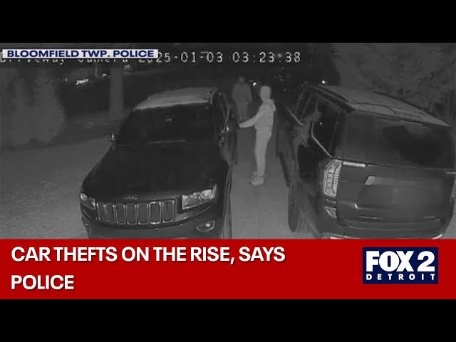 ⁣Car thefts and break-ins on the rise in Metro Detroit, says police