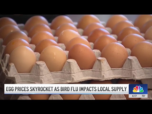 ⁣Chino farm's business booms with grocery store's increasing egg prices