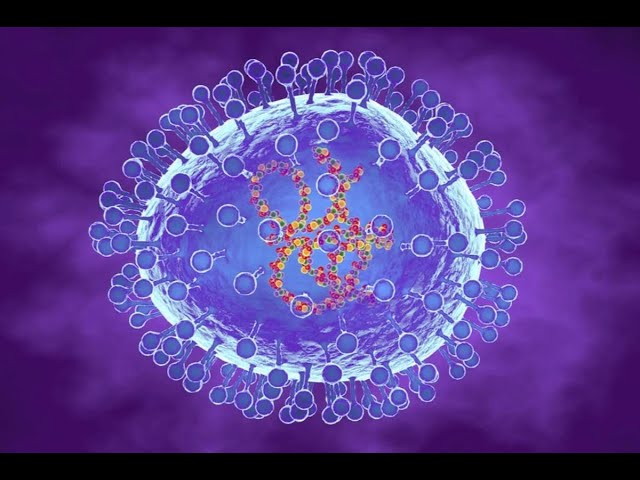 ⁣Omar Neyra sobre metapneumovirus: "Que no se preocupe la población, no hay virus nuevo"