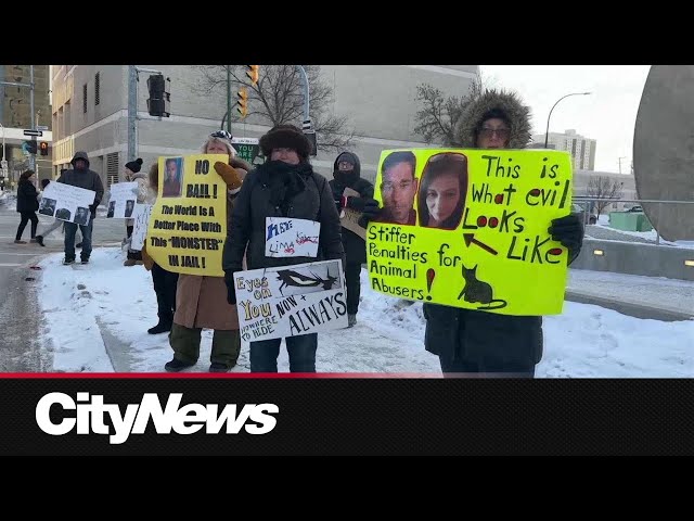 ⁣Accused Winnipeg cat killer back in court