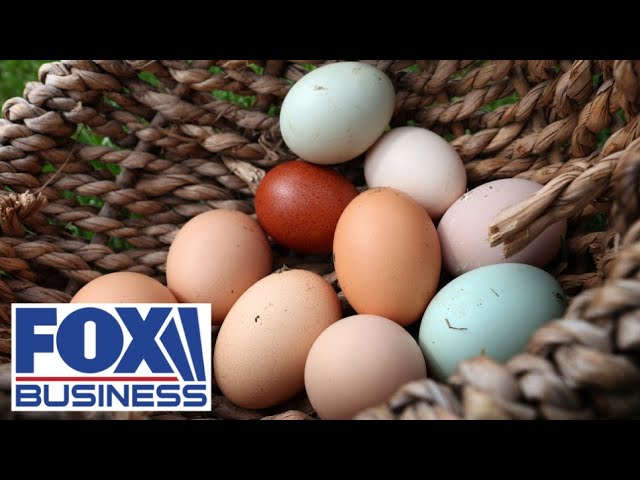 ⁣Is the bird flu impacting egg prices?