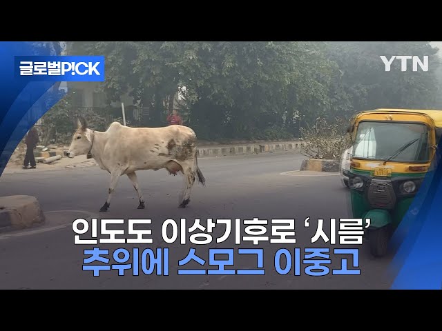 ⁣[반복재생] 인도마저 '오들오들'...이상기후로 찾아온 추위에 동포들도 피해