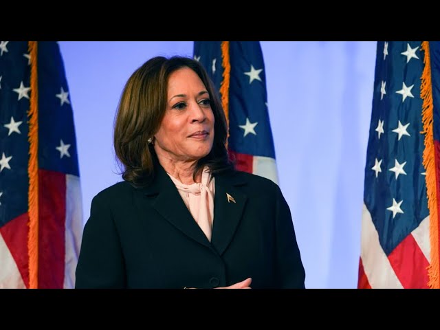 ⁣'Utterly delusional': Kamala Harris' presidential ambitions for 2028