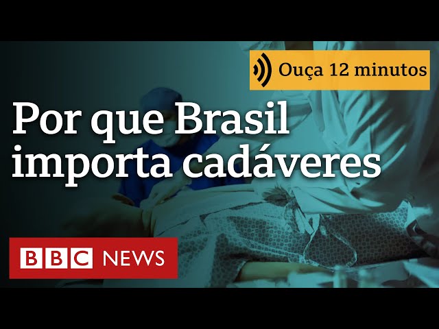 ⁣Por que Brasil importa cadáveres para treinar harmonização facial