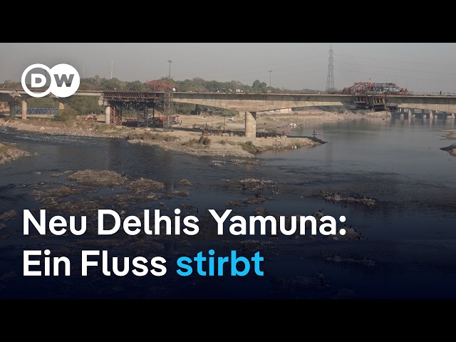 ⁣Der Yamuna-Fluss: Einst die Lebensader Neu Delhis, heute verstopft und verdreckt | DW Nachrichten