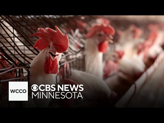 ⁣U.S. sees 1st human death linked to bird flu, and more headlines