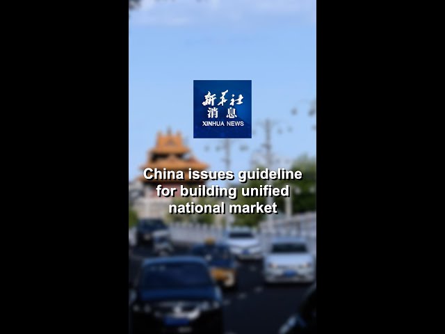 ⁣Xinhua News | China issues guideline for building unified national market