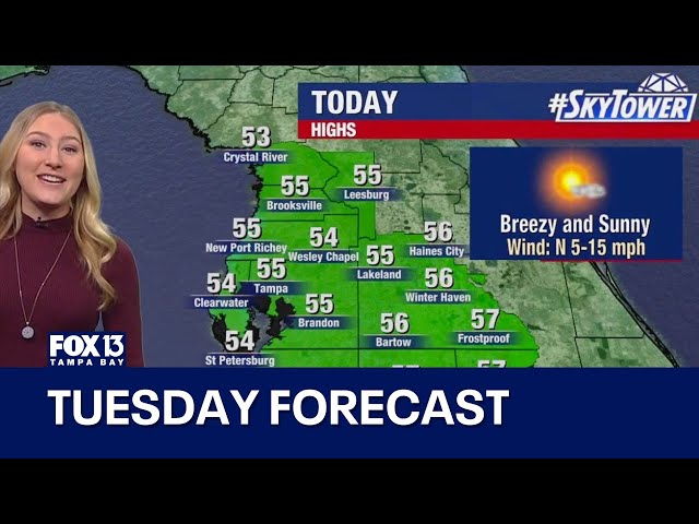 ⁣Tampa weather | Tuesday forecast