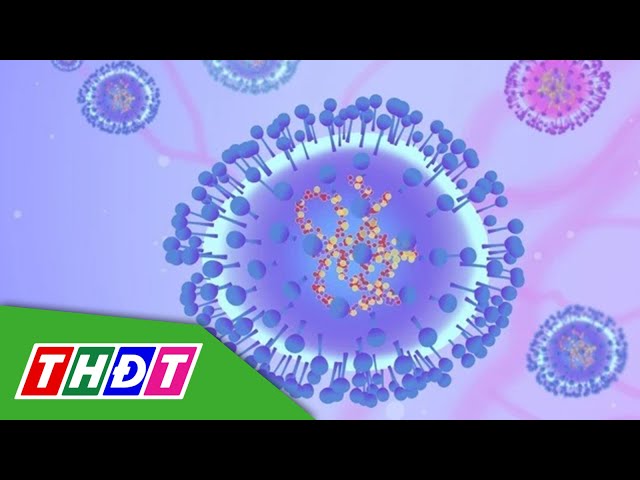 ⁣Virus gây bệnh hô hấp ở Trung Quốc từng được ghi nhận tại TP.HCM | THDT