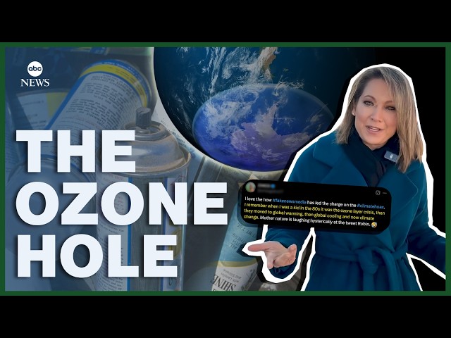 ⁣Whatever happened to the ozone hole?