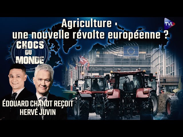 ⁣Derrière la crise agricole, la survie alimentaire - Chocs du monde avec Hervé Juvin - TVL