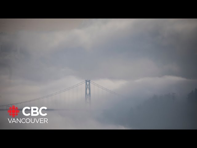 ⁣B.C. expecting relatively warm temperatures this winter