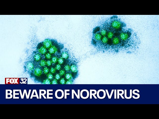 ⁣Norovirus cases are surging. Dr. Mike shares how to protect yourself